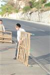 Children collecting firewood Lag BaOmer