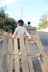 ילדים אוספים עצים למדורת ל&quot;ג בעומר