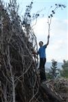 Children collecting firewood Lag BaOmer