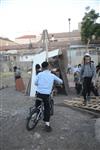 Children collecting firewood Lag BaOmer