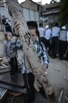 ילדים אוספים עצים למדורת ל&quot;ג בעומר