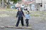 Children collecting firewood Lag BaOmer