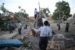 Children collecting firewood Lag BaOmer