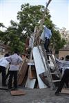 Children collecting firewood Lag BaOmer