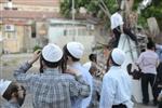 Children collecting firewood Lag BaOmer