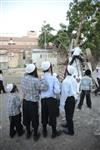 Children collecting firewood Lag BaOmer