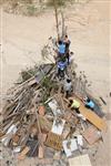 Children collecting firewood Lag BaOmer