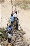 Children collecting firewood Lag BaOmer