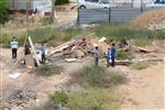 Children collecting firewood Lag BaOmer