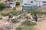 Children collecting firewood Lag BaOmer