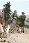ילדים אוספים עצים למדורת ל&quot;ג בעומר