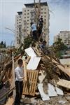 Children collecting firewood Lag BaOmer