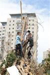 Children collecting firewood Lag BaOmer