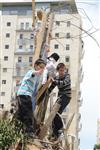 Children collecting firewood Lag BaOmer