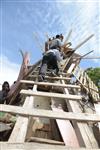 Children collecting firewood Lag BaOmer