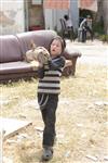 Children collecting firewood Lag BaOmer