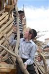 ילדים אוספים עצים למדורת ל&quot;ג בעומר