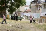 Children collecting firewood Lag BaOmer