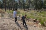 Children collecting firewood Lag BaOmer