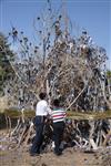 Children collecting firewood Lag BaOmer