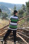 Children collecting firewood Lag BaOmer