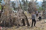 Children collecting firewood Lag BaOmer