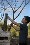 Children collecting firewood Lag BaOmer