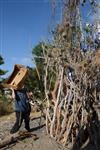 Children collecting firewood Lag BaOmer