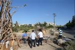 Children collecting firewood Lag BaOmer