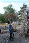 Children collecting firewood Lag BaOmer