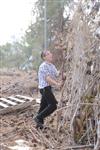 Children collecting firewood Lag BaOmer