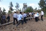 Children collecting firewood Lag BaOmer