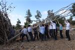 Children collecting firewood Lag BaOmer