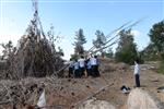 Children collecting firewood Lag BaOmer