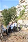ילדים אוספים עצים למדורת ל&quot;ג בעומר
