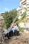 Children collecting firewood Lag BaOmer