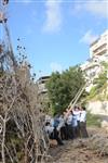 ילדים אוספים עצים למדורת ל&quot;ג בעומר