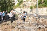 Children collecting firewood Lag BaOmer