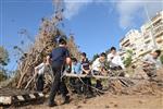 Children collecting firewood Lag BaOmer