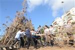 Children collecting firewood Lag BaOmer