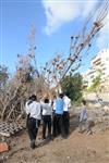 ילדים אוספים עצים למדורת ל&quot;ג בעומר