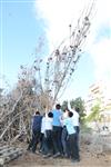 Children collecting firewood Lag BaOmer