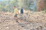 Children collecting firewood Lag BaOmer