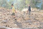 Children collecting firewood Lag BaOmer