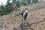 Children collecting firewood Lag BaOmer