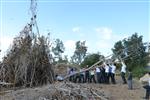 Children collecting firewood Lag BaOmer