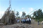 Children collecting firewood Lag BaOmer