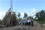 Children collecting firewood Lag BaOmer