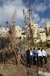 Children collecting firewood Lag BaOmer