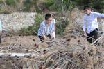 Children collecting firewood Lag BaOmer